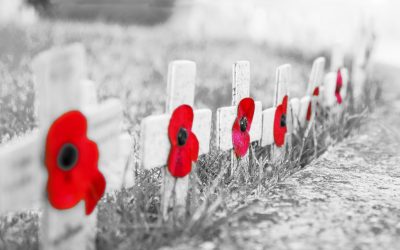 A Concert for Peace > WMHT FM Interview